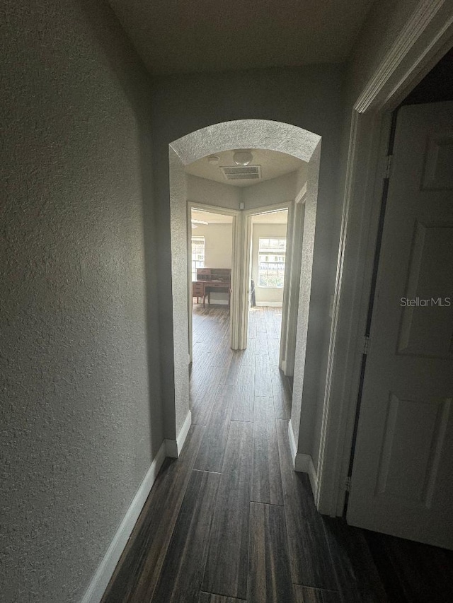 hallway featuring dark wood-type flooring