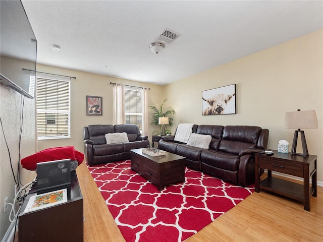 living room with hardwood / wood-style flooring