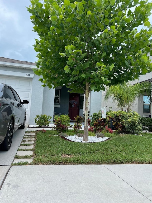 obstructed view of property featuring a front lawn