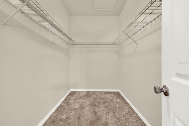 spacious closet with carpet floors