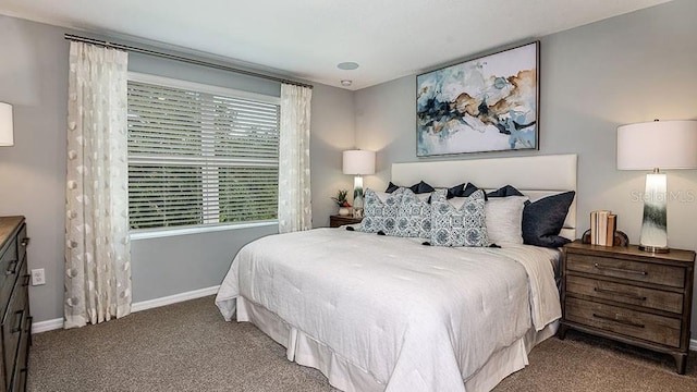 bedroom featuring carpet floors