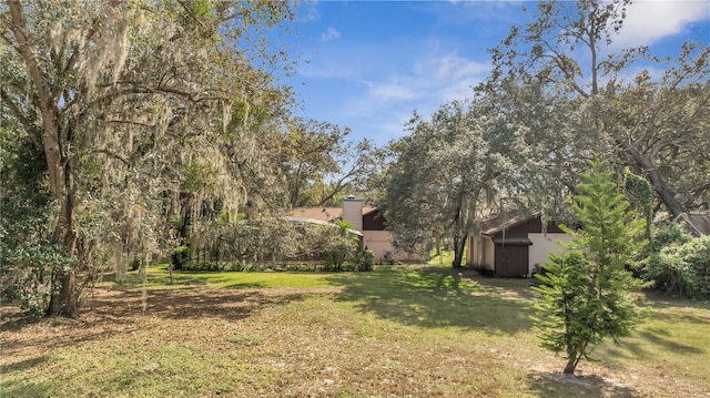 view of yard featuring a shed and an outdoor structure