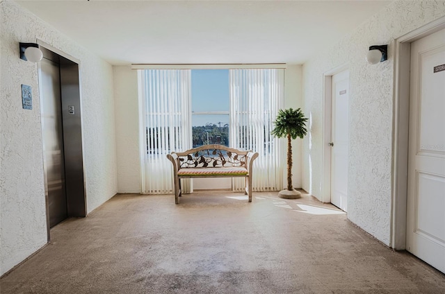 hall featuring elevator and carpet flooring