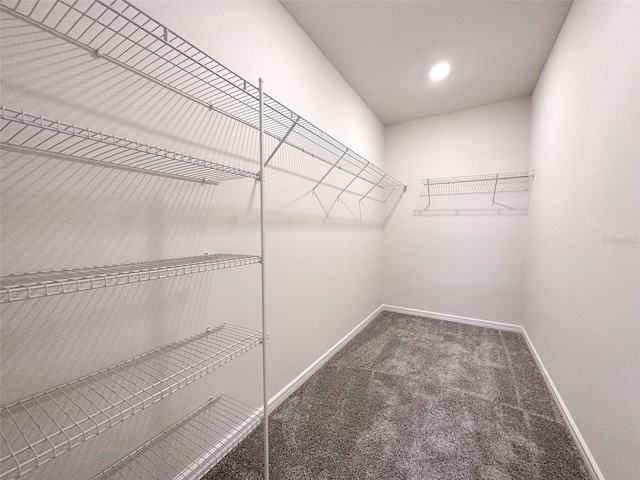 walk in closet with dark carpet