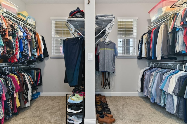 spacious closet featuring carpet floors