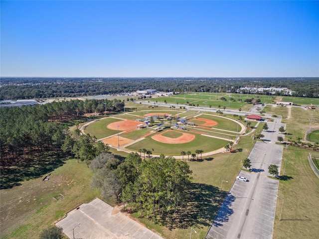 drone / aerial view