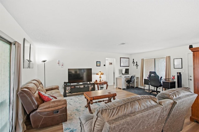 living room with hardwood / wood-style flooring