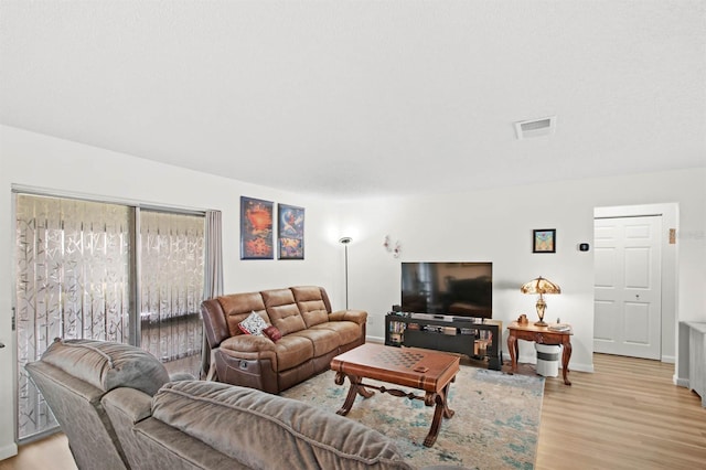 living room featuring light hardwood / wood-style floors