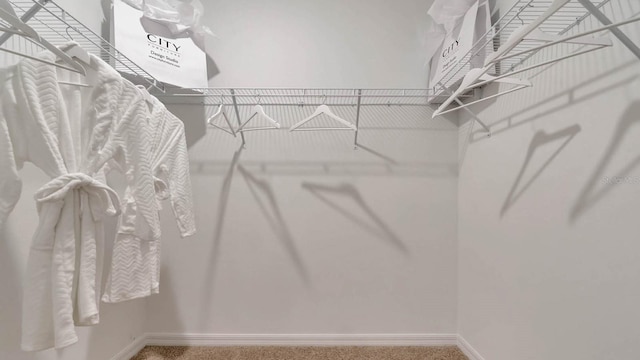 spacious closet featuring carpet