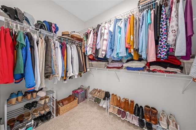 spacious closet featuring carpet floors