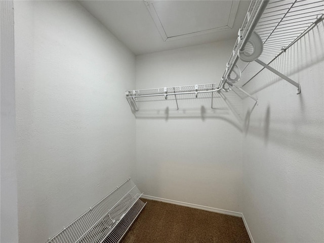 walk in closet featuring carpet