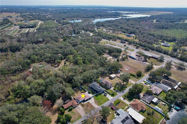 bird's eye view featuring a water view and a view of trees