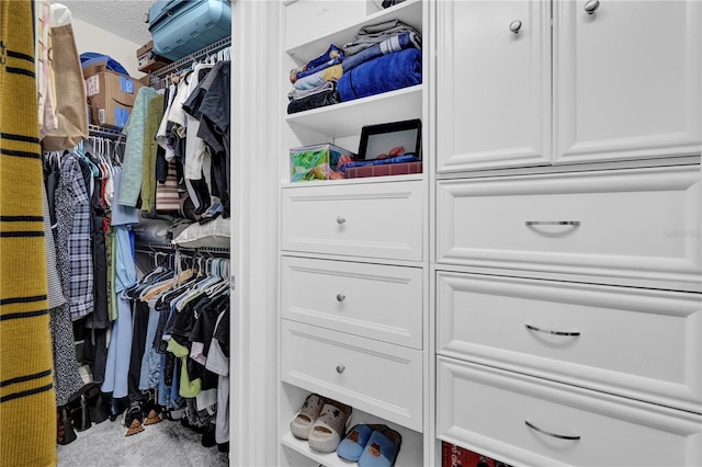 spacious closet with carpet floors