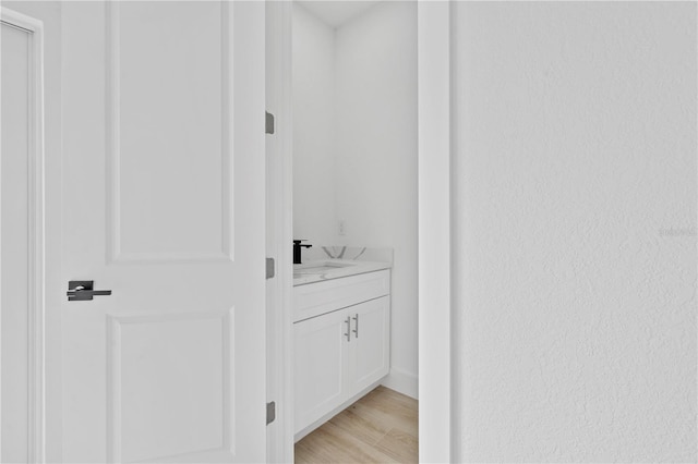 interior space featuring vanity and wood-type flooring