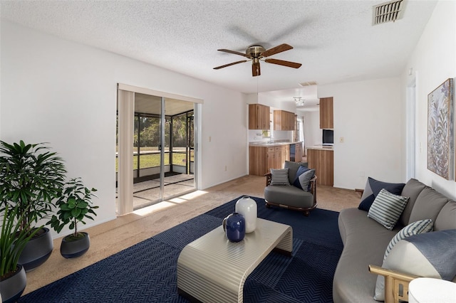 306 Loch Low Dr, Sanford, FL 32773 - carpeted living room with ceiling fan, plenty of natural light, sink, and a textured ceiling