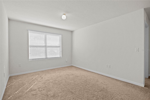 spare room featuring a textured ceiling and carpet flooring