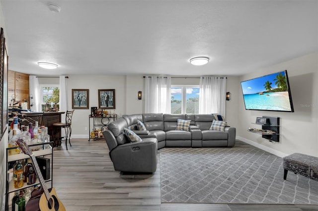 living room with wood-type flooring