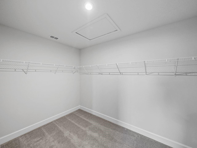 walk in closet featuring carpet flooring