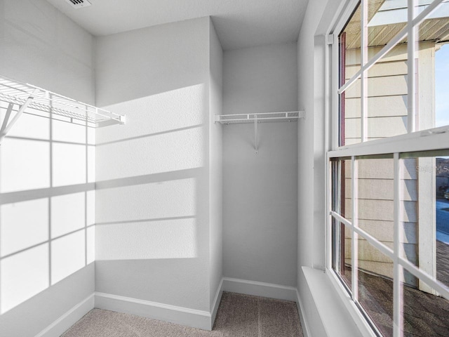 walk in closet with carpet flooring