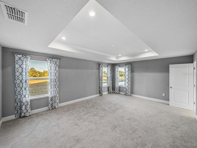 unfurnished room featuring carpet floors, a raised ceiling, and a textured ceiling