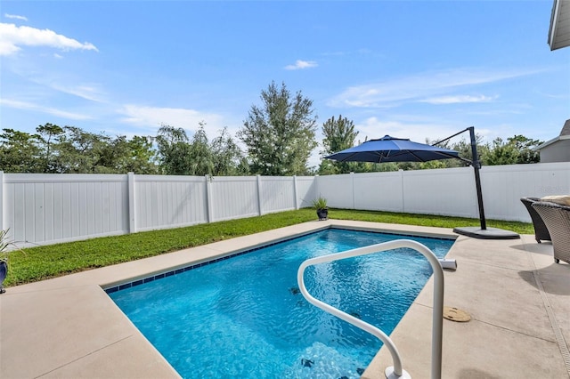 view of swimming pool with a patio area