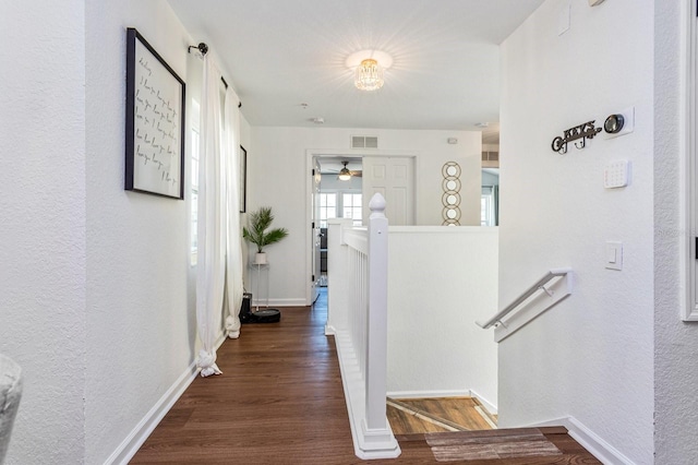 hall with dark hardwood / wood-style flooring