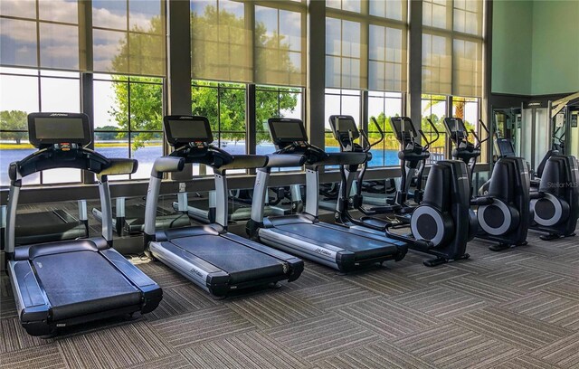 workout area featuring a towering ceiling, a healthy amount of sunlight, and carpet