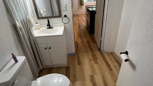 bathroom with vanity, wood-type flooring, and toilet