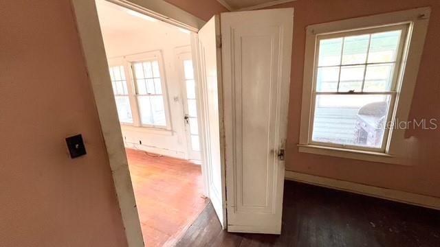 corridor with plenty of natural light and dark hardwood / wood-style floors