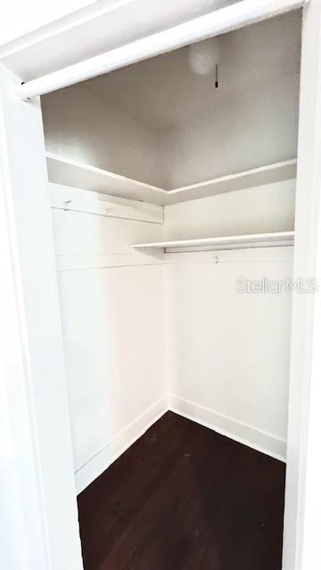 214 N New Hampshire Ave, Tavares, FL 32778 - spacious closet with dark wood-type flooring