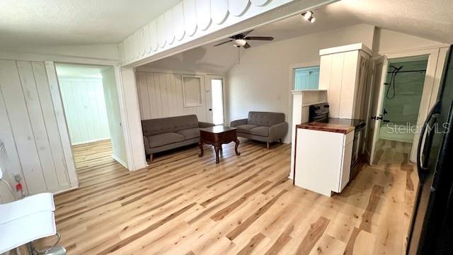214 N New Hampshire Ave, Tavares, FL 32778 - living room featuring ceiling fan, light wood finished floors, and vaulted ceiling