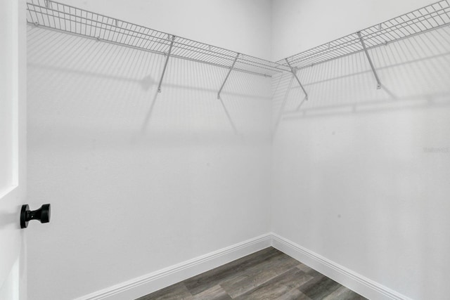 spacious closet with wood-type flooring