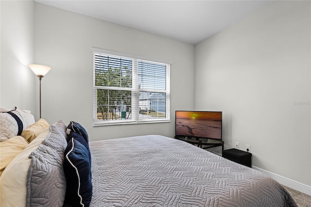 8456 Norwich Way, Mount Dora, FL 32757 - bedroom with baseboards and carpet