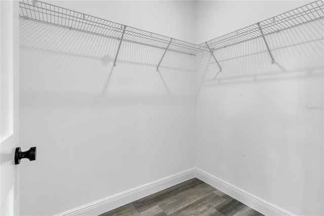 spacious closet featuring dark wood-type flooring