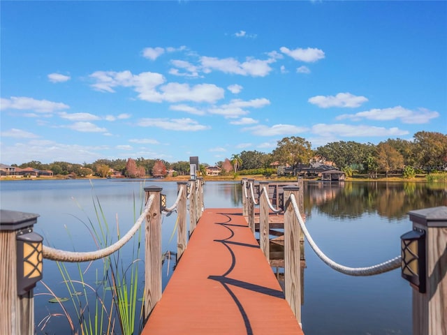 dock area featuring a water view