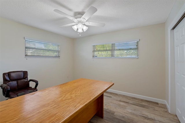 office featuring light hardwood / wood-style flooring, ceiling fan, plenty of natural light, and a textured ceiling