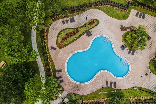 view of swimming pool