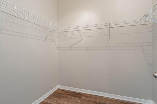 spacious closet featuring hardwood / wood-style floors