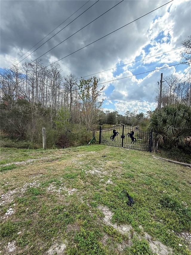 Address Not Disclosed, Saint Cloud FL, 34773 land for sale