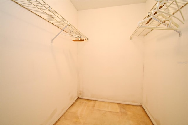 walk in closet featuring carpet flooring