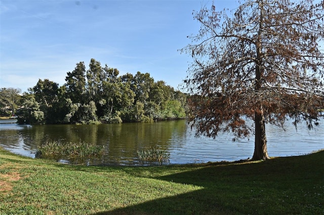 property view of water