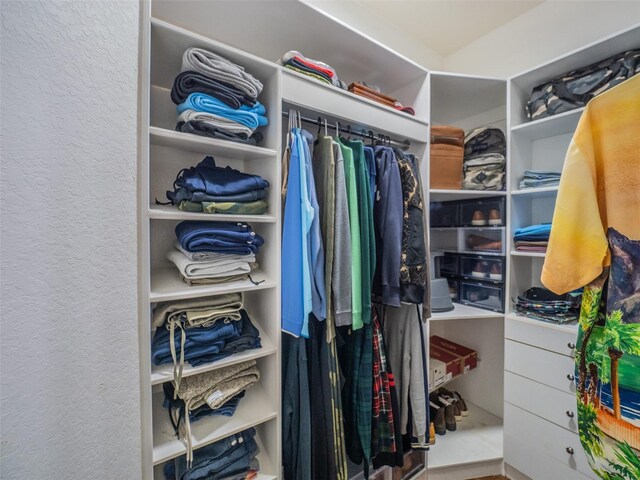 view of spacious closet