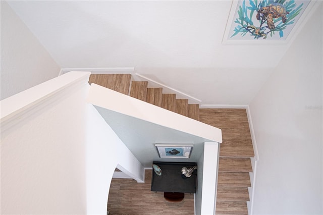 staircase featuring wood-type flooring