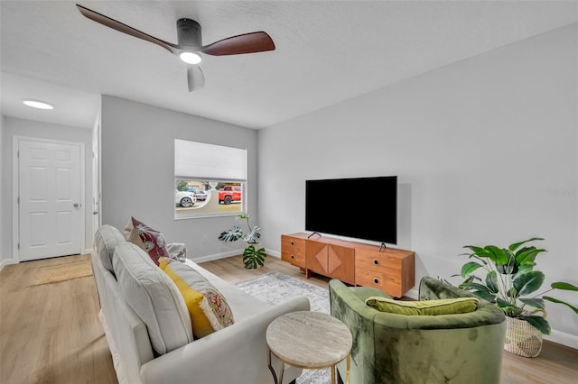 living room with ceiling fan and light hardwood / wood-style floors