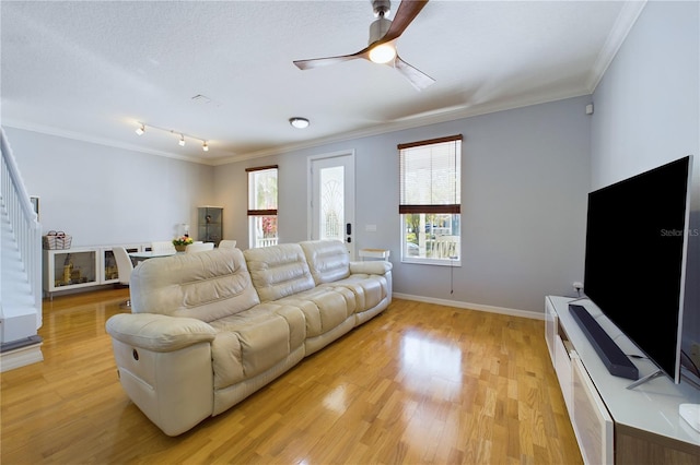 living room with crown molding, a textured ceiling, ceiling fan, and light hardwood / wood-style floors