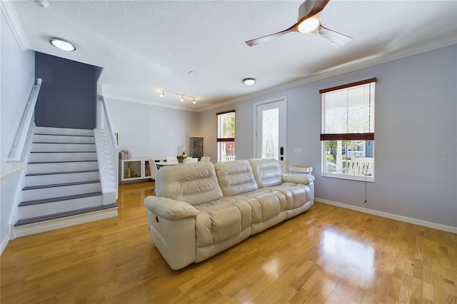 living room featuring crown molding, ceiling fan, and light hardwood / wood-style flooring