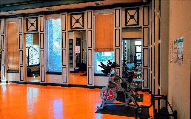 gym with wood-type flooring and a healthy amount of sunlight