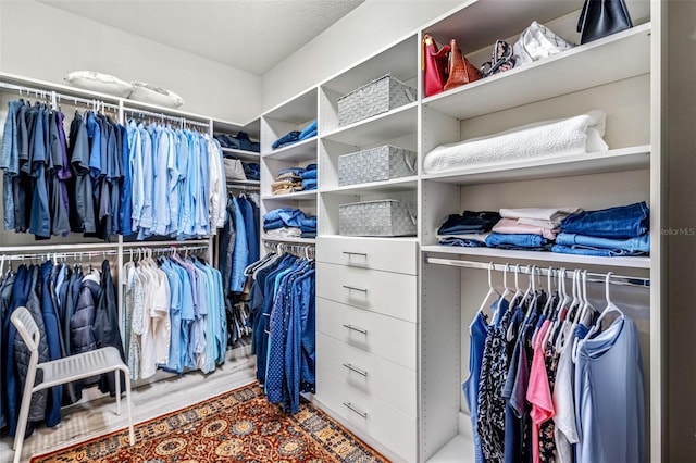 walk in closet featuring hardwood / wood-style floors