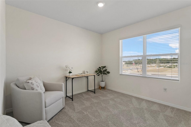 living area with light carpet