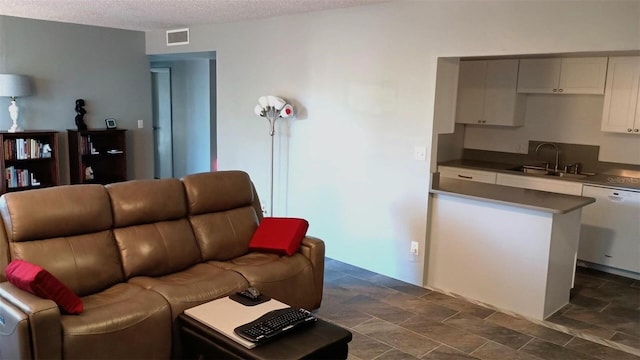 living room featuring sink and a textured ceiling